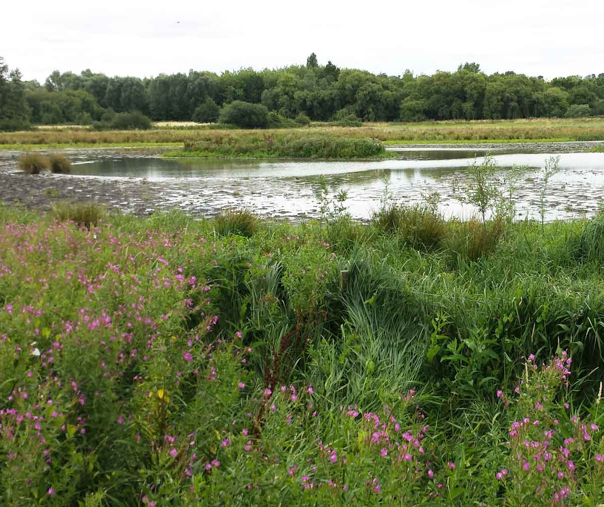 Cornmill Meadows Waltham Abbey