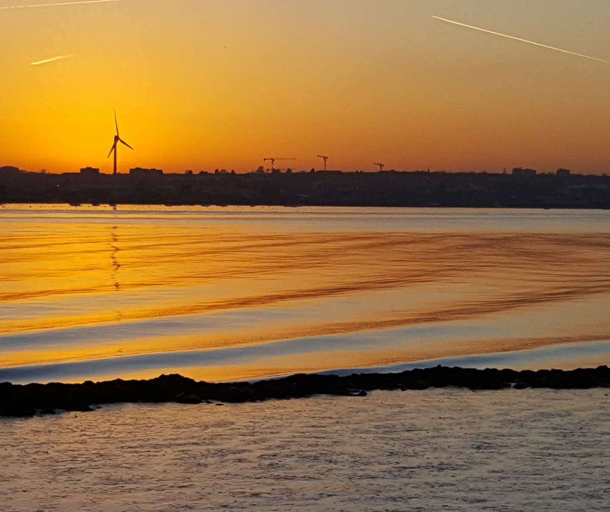 Rainham Marsh RSPB London