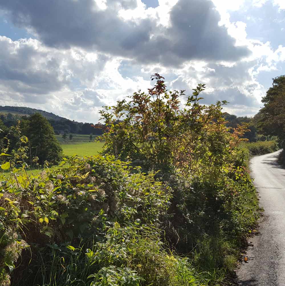 Lullingstone Roman Villa Eynsford London - a lovely family day out to explore Roman life in the beautiful Darent Valley just 40 minutes from London Victoria