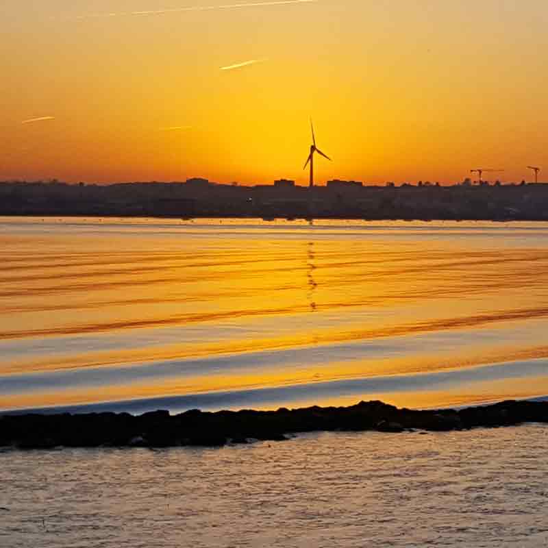 Rainham Marsh RSPB London