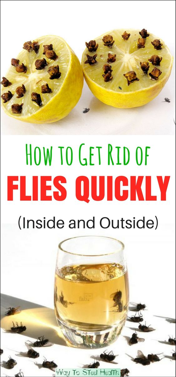 How to get rid deals of flies outdoors