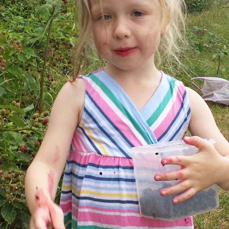 Foraging with kids - simple safety tips for foraging with kids including best fruit and nuts to pick