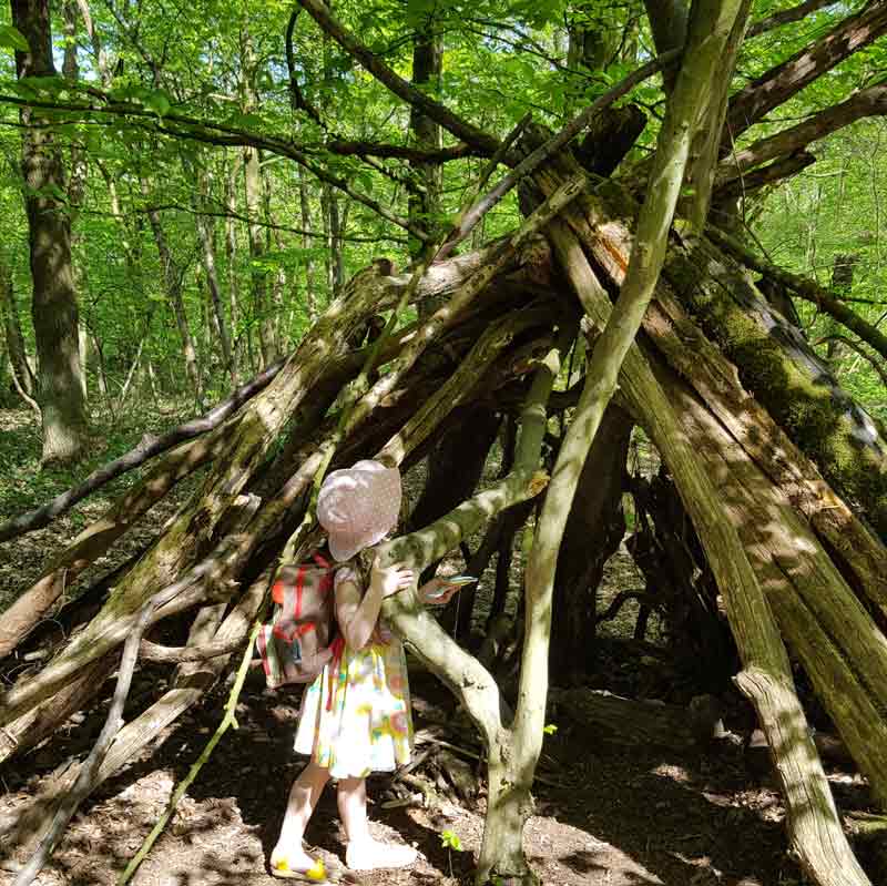 Oxleas Wood London - beautiful ancient woodland with stunning views across London and the perfect spot for family days out