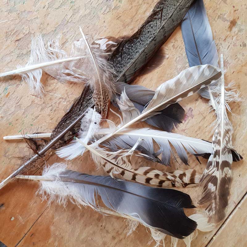 Painting with features - a super simple natural craft for children #painting #feathers #nature #lovenature #naturecrafts #birds