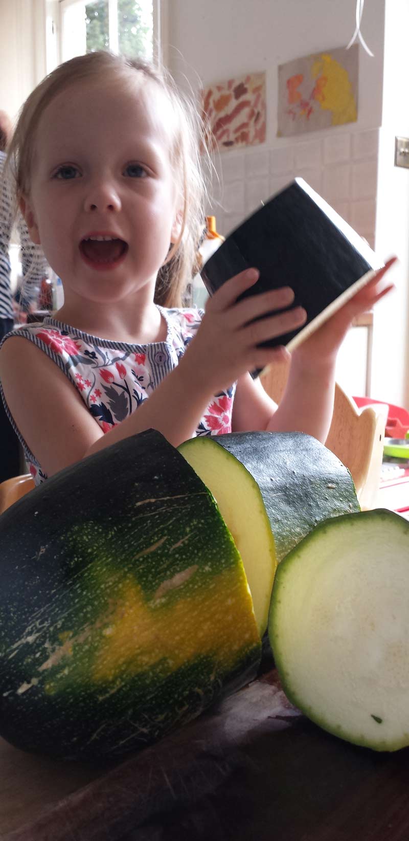 Growing courgettes with kids - courgettes are great fun to grow with kids as they are super easy, make scrumptious chocolate cake and are a wonderful opportunity to learn about plant science and pollination #courgette #zucchini #growingvegetables #gardeningwithkids #gardenwithkids #plantscience #pollination