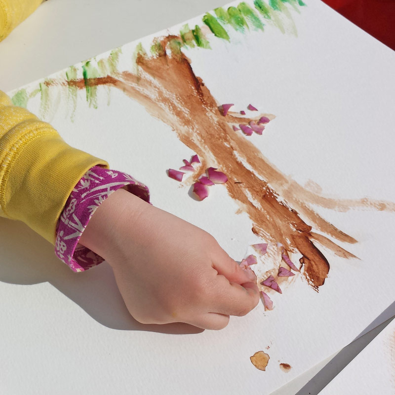 Simple petal paintings through which children can enjoy fallen blossom and explore the structure of flowers and how they are pollinated #painting #flowers #petals #blossom #nature #naturelover #plantscience #STEAM #pollination 
