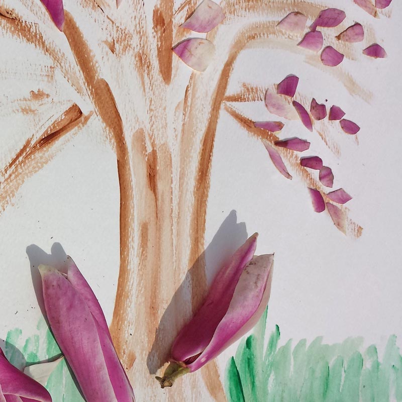 Simple petal paintings through which children can enjoy fallen blossom and explore the structure of flowers and how they are pollinated #painting #flowers #petals #blossom #nature #naturelover #plantscience #STEAM #pollination