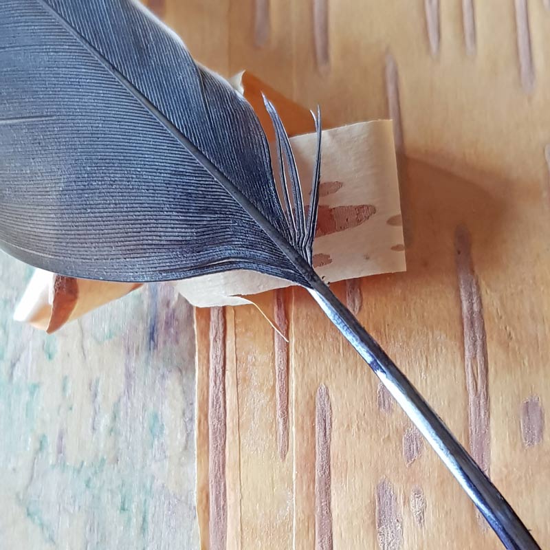 A beautifully simple craft that lets kids explore the awesome bark of the silver birch tree which unusually actually performs photosynthesis #trees #naturecrafts #naturelover #plantscience #photosynthesis #feathers #nature