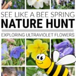 Collage of children on spring nature hunt to look at flowers like a bee