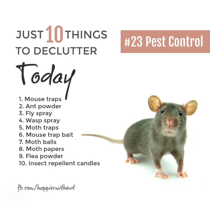 We all have cupboards full of remedies for household pests. Many of them don't work BUT most of them are toxic to kids, pets and good wildlife. Declutter them today ... #declutter #organize #simplify #greenliving #naturalcleaning