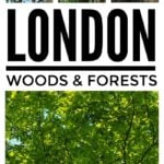 Collage of London woods