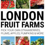 Collage of images from pick your own farms in London