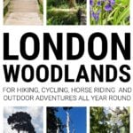 Collage of London woods