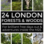 Collage of London woods
