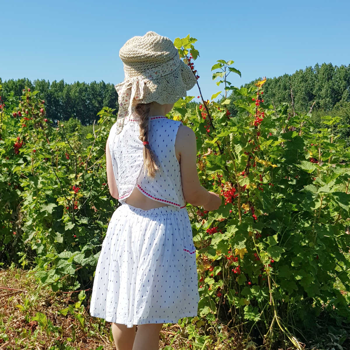 Girl picking redcurrants at London PYO farm