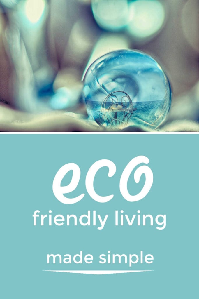 Eco Friendly Living Tips