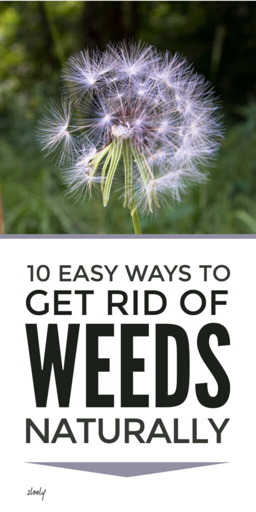 Get rid of weeds naturally