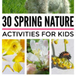 Spring Nature Activities For Kids