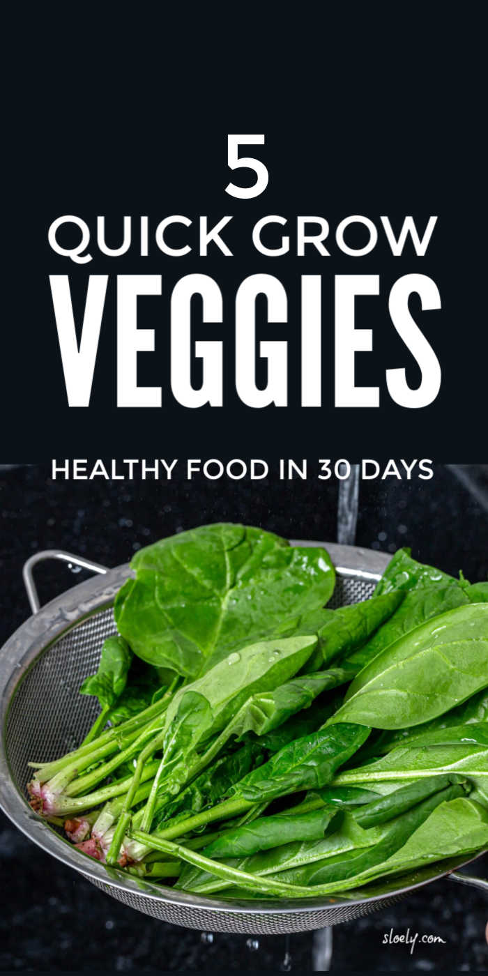 Quick Growing Vegetables