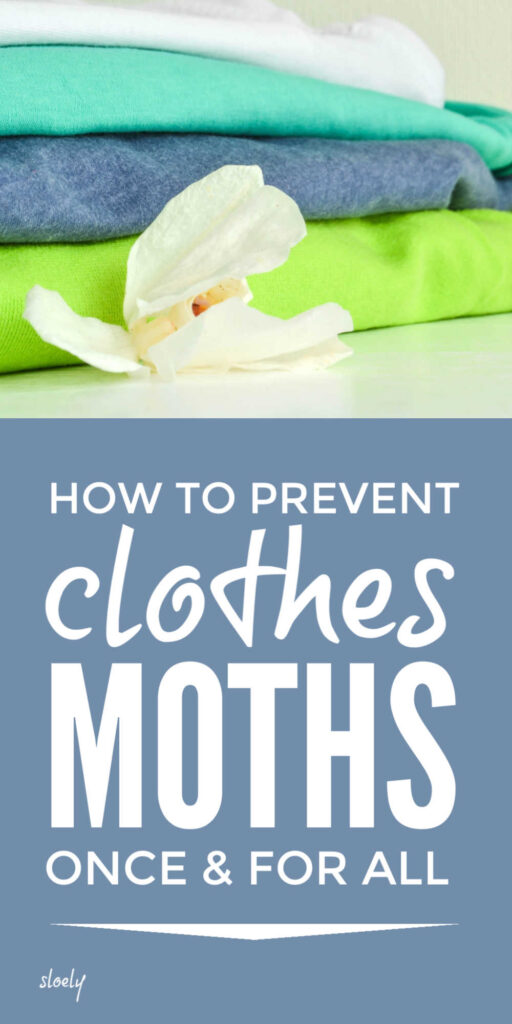 How To Prevent Clothes Moths