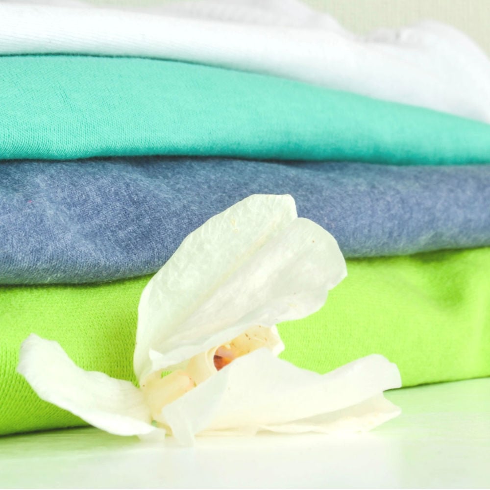 SAY GOODBYE TO CLOTHES MOTHS WITH THESE 4 NATURAL SOLUTIONS