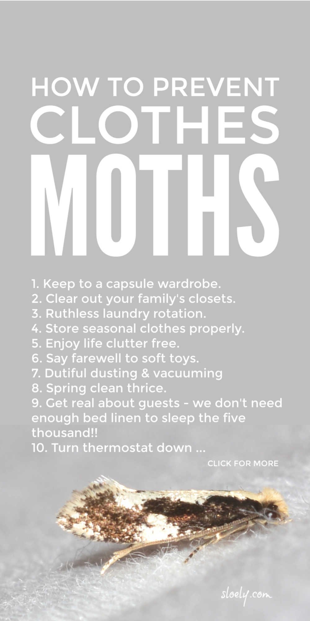How To Prevent Moths
