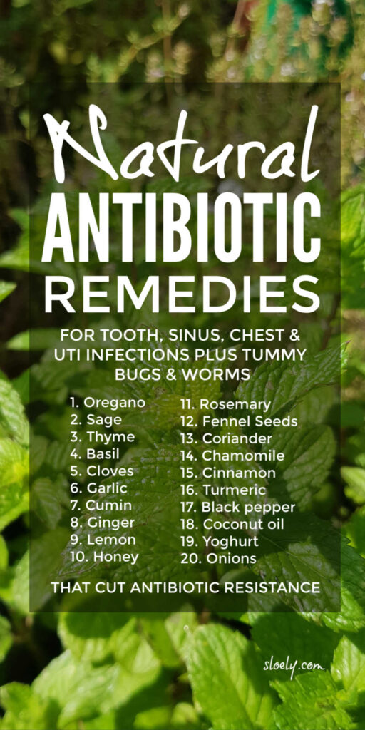 Natural Antibiotic Remedies