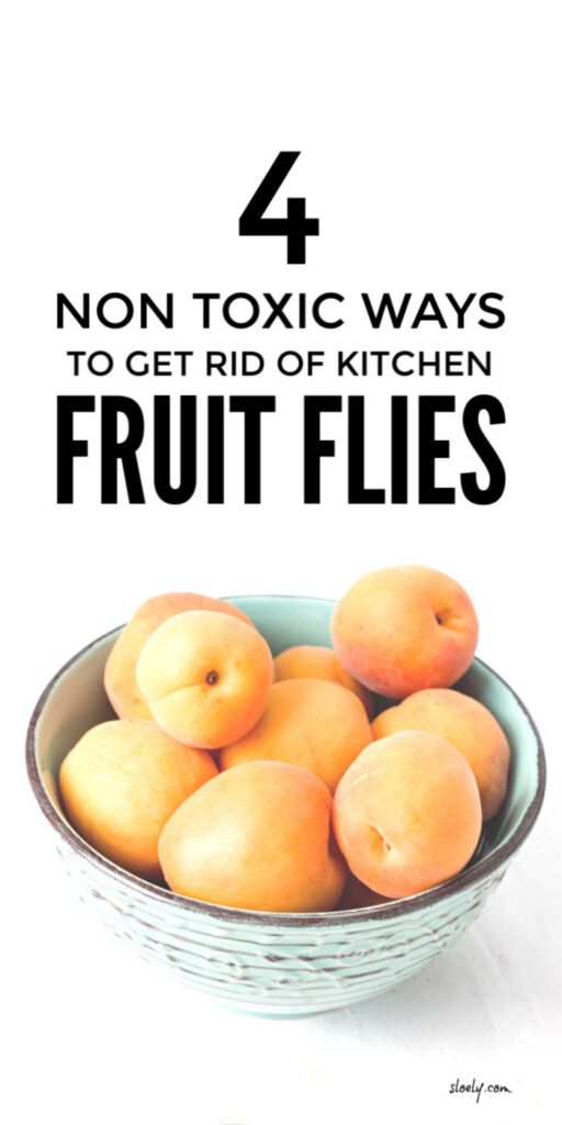 Prevent and Get Rid Of Fruit Flies