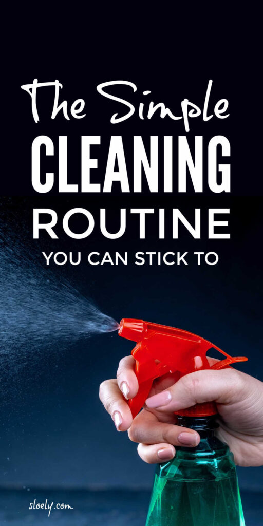 Simple Daily Cleaning Routine