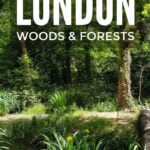London woodland