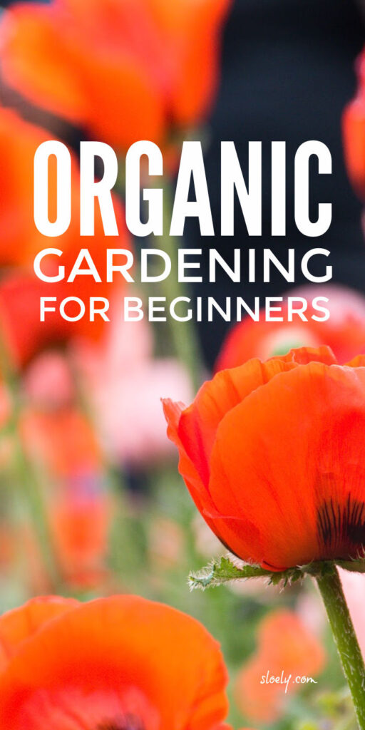 Organic Gardening Tips For Beginners