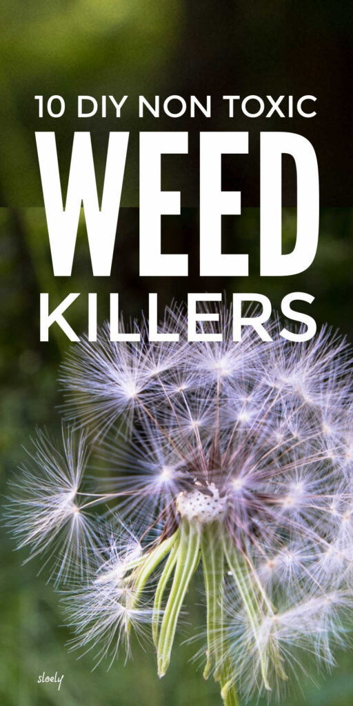 Non Toxic DIY Homemade Weed Killers