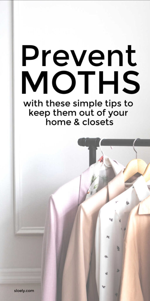 How To Prevent Clothes Moths