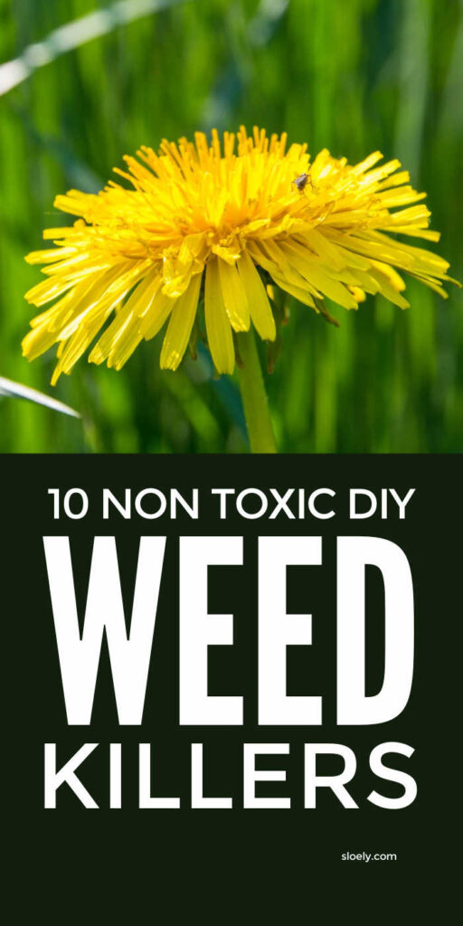 DIY Non Toxic Weedkillers