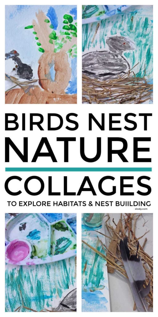 Birds Nest Nature Collages For Kids