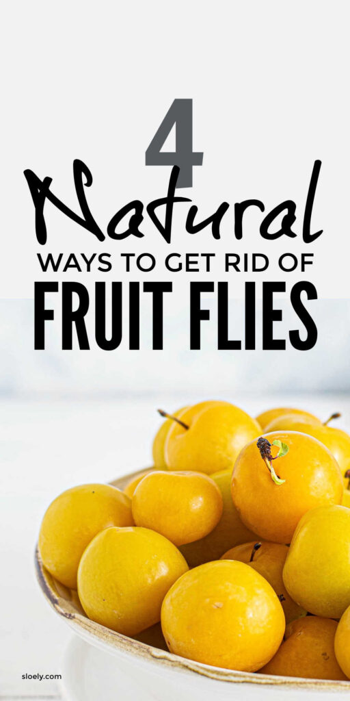 Natural Ways To Get Rid Of Fruit Flies