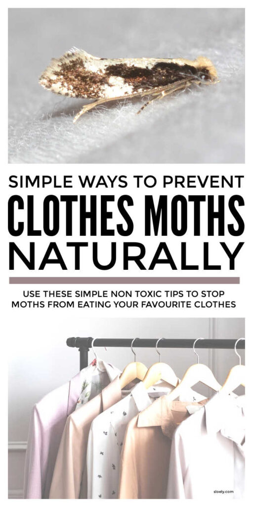 How To Prevent Clothes Moths Naturally