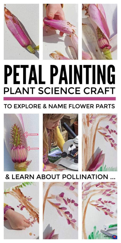 Petal Painting Plant Science Craft