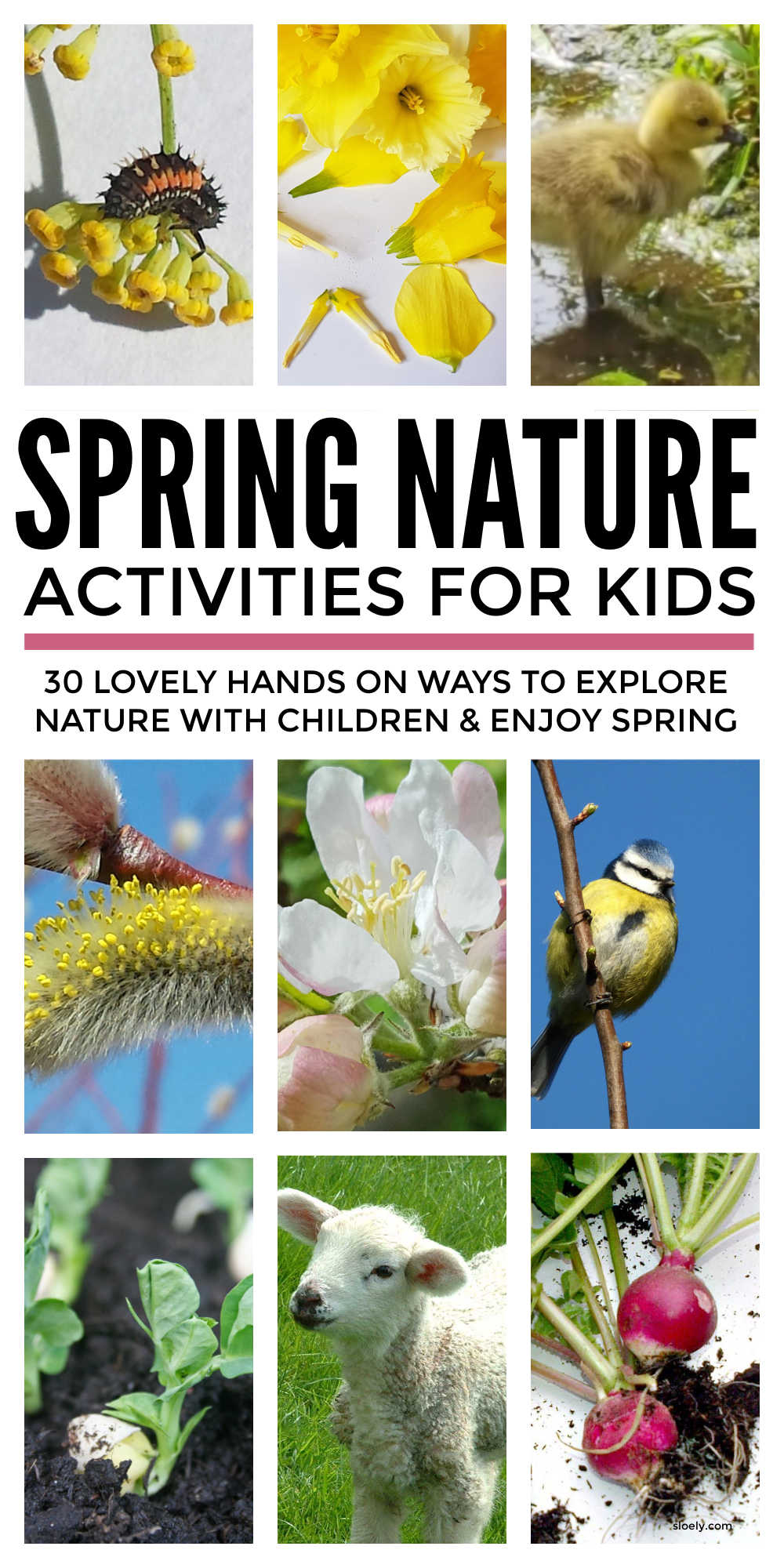 Spring Nature Activities For Kids