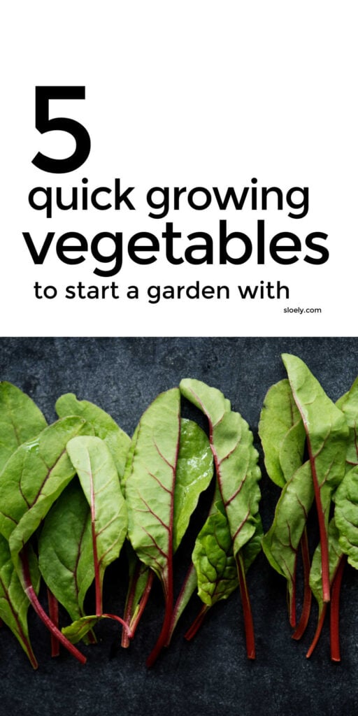 Quick Growing Vegetables To Start A Garden With