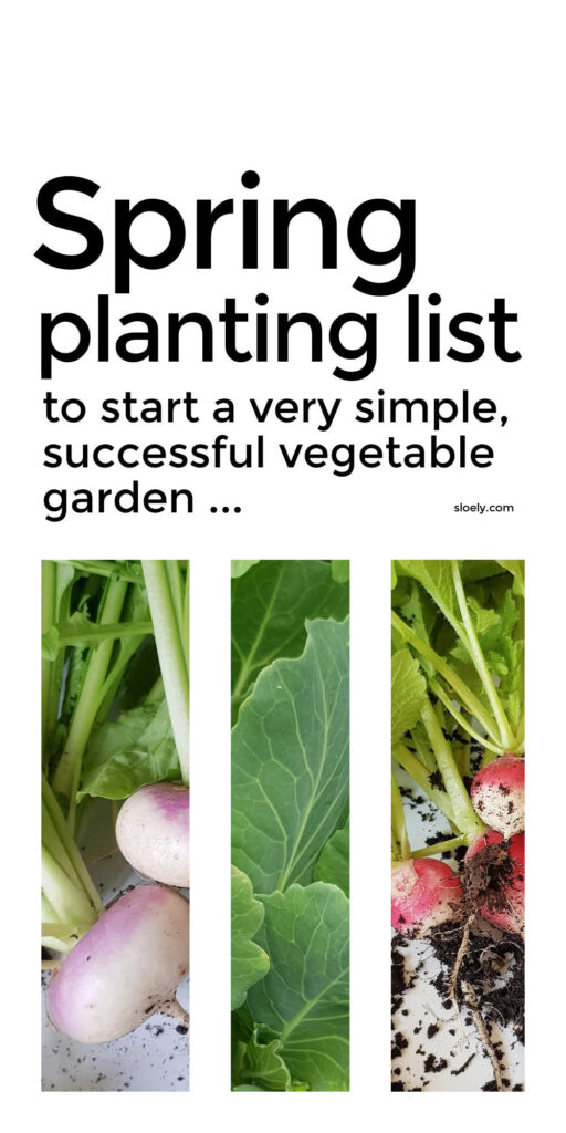 Vegetables To Plant In Early Spring, Garden Vegetables List
