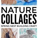 Nest Building Spring Nature Collage Craft