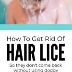 How To Get Rid Of Hair Lice