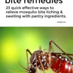 Mosquito Bite Remedy Relief