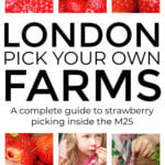 London Pick Your Own Farms For Strawberries