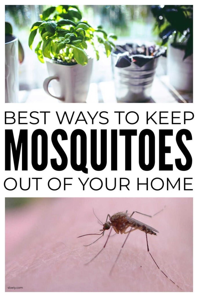 How To Keep Mosquitoes Out Of Your Home