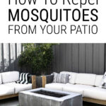 How To Repel Mosquitoes From Your Patio