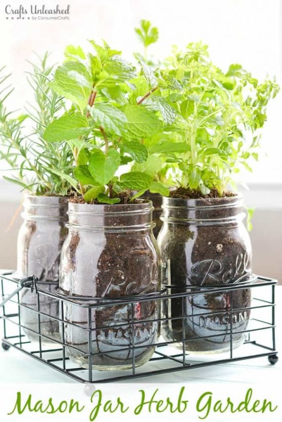 Mason Jar Herb Garden As Cheap DIY Christmas Gift