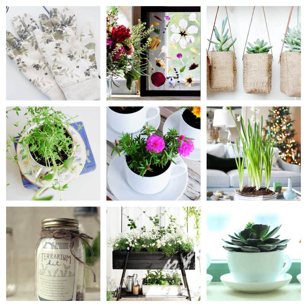 50+ Last Minute DIY Christmas Gifts from the Kitchen - Garden Therapy