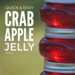Easy Crab Apple Jelly Recipe